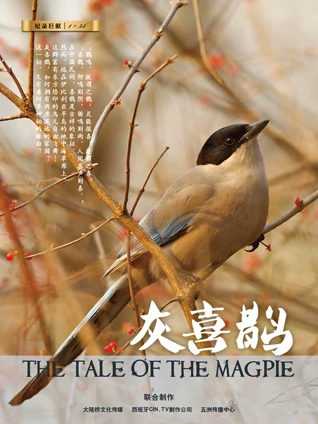 美女裸体自慰一级毛片在线免费看